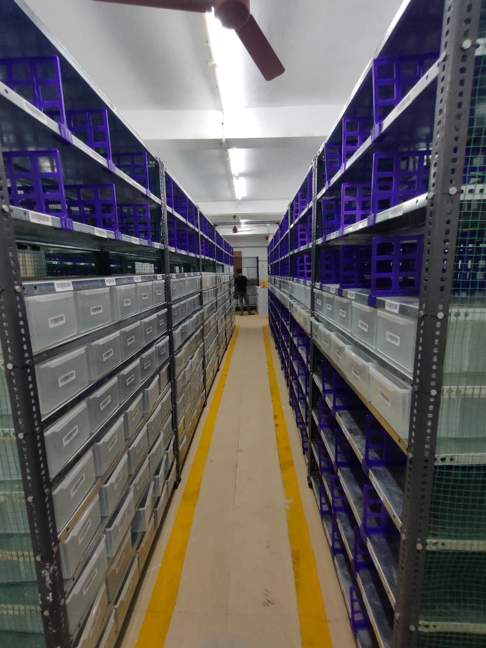 WeSchool site photo